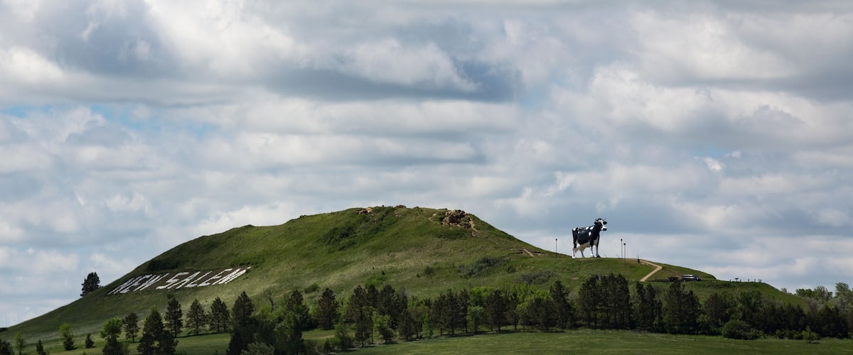 A grassy hill with a cow statue and the words "CEN SALOM" carved into the hill.