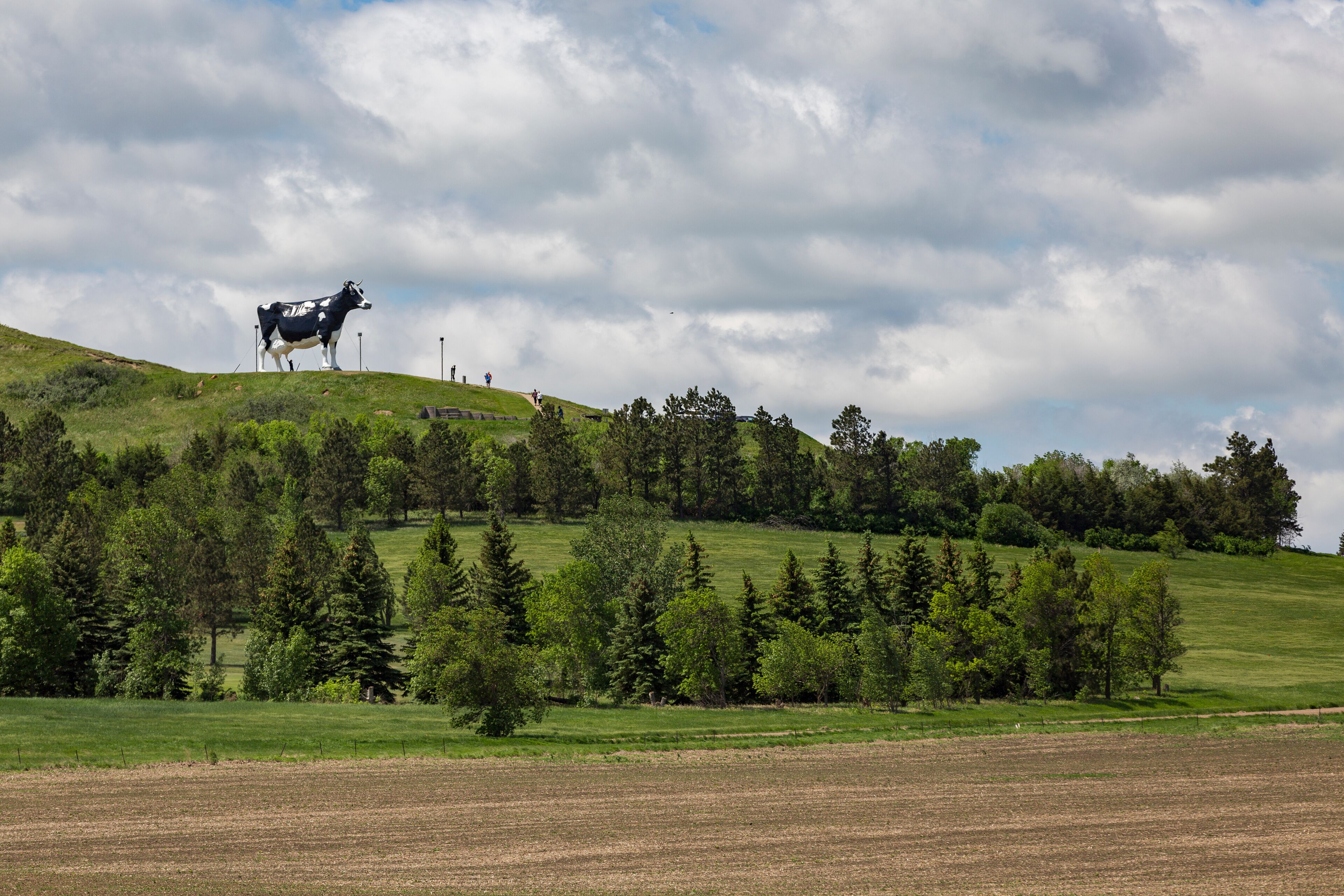 View of Salem Sue on hill against cloudy sky