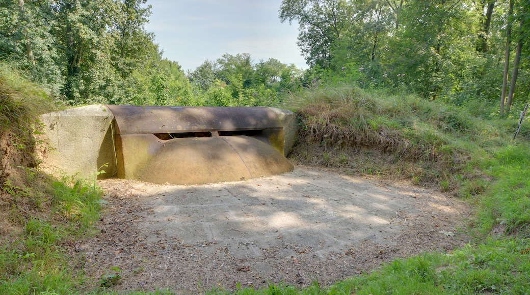 This file was uploaded with Commonist. This photograph was taken with a Nikon D300. Fort Grossherzog von Baden (Fort Frère) : observatoire cuirassé Schumann-Gruson, modèle 1887 (HDR).