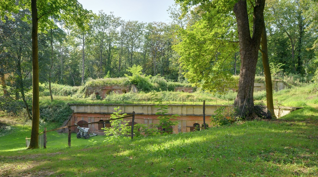 This file was uploaded with Commonist. This photograph was taken with a Nikon D300. Fort Grossherzog von Baden (Fort Frère) (HDR).