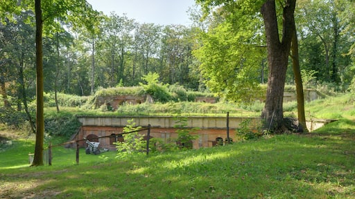 This file was uploaded with Commonist. This photograph was taken with a Nikon D300. Fort Grossherzog von Baden (Fort Frère) (HDR).