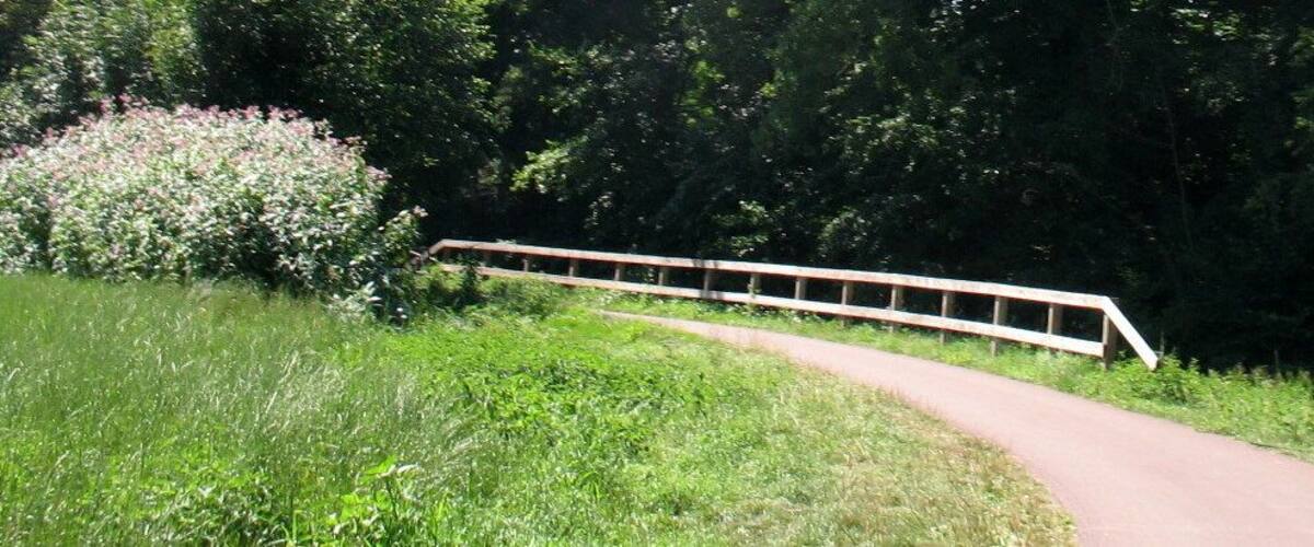 A curved pathway with a metal railing, surrounded by lush greenery and trees.
