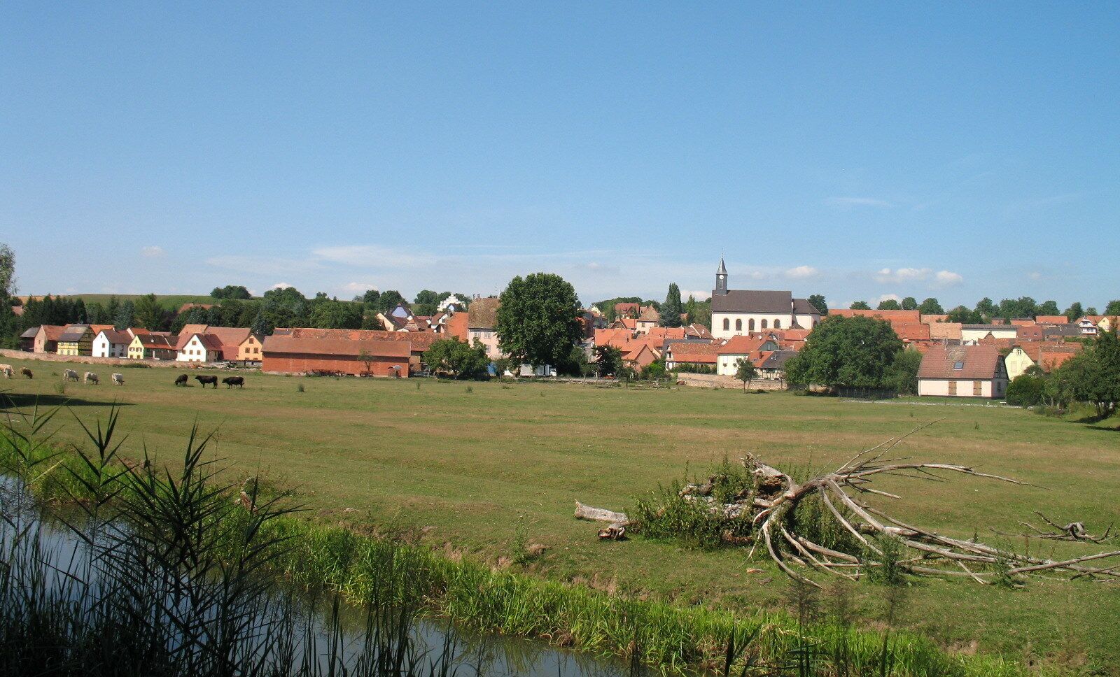 Looking North at Ernolsheim-Bruche