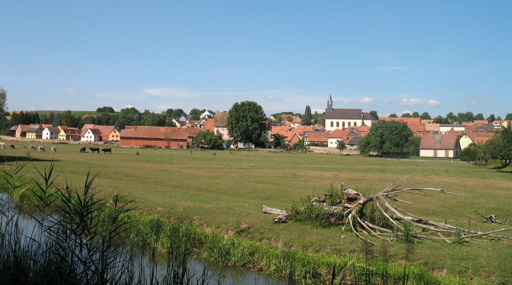 Looking North at Ernolsheim-Bruche