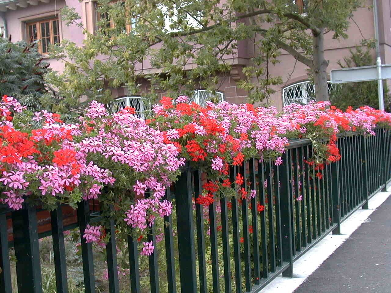Ponte su Canal de la Bruche 2