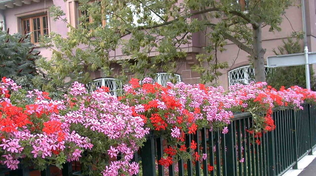 Ponte su Canal de la Bruche 2