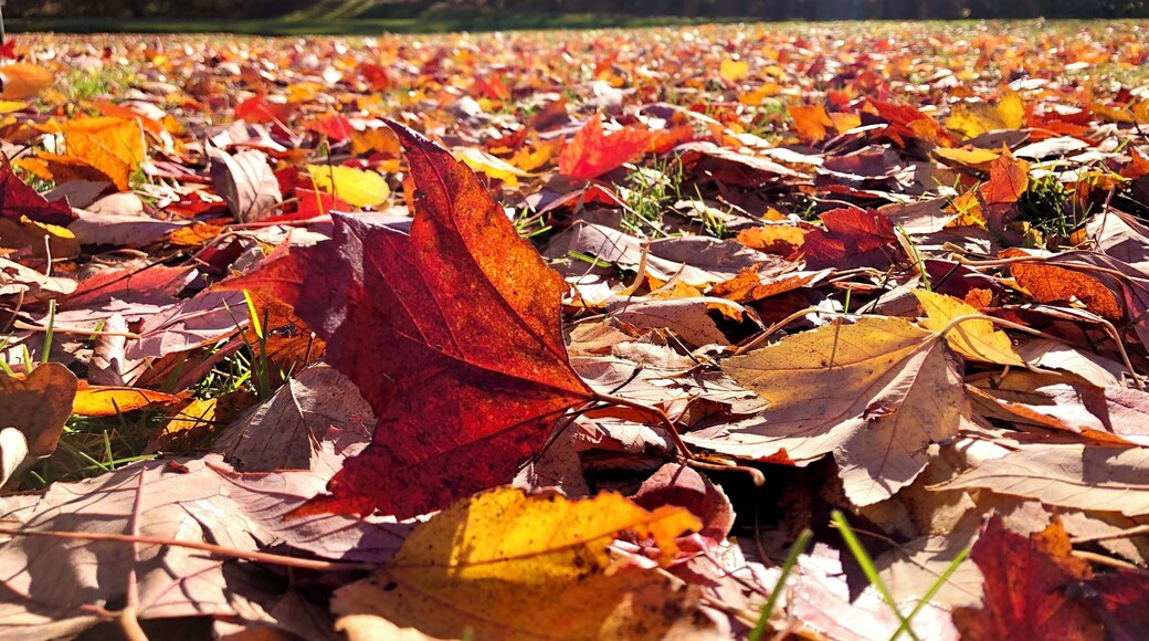 It’s autumn! ‘Nuff said...