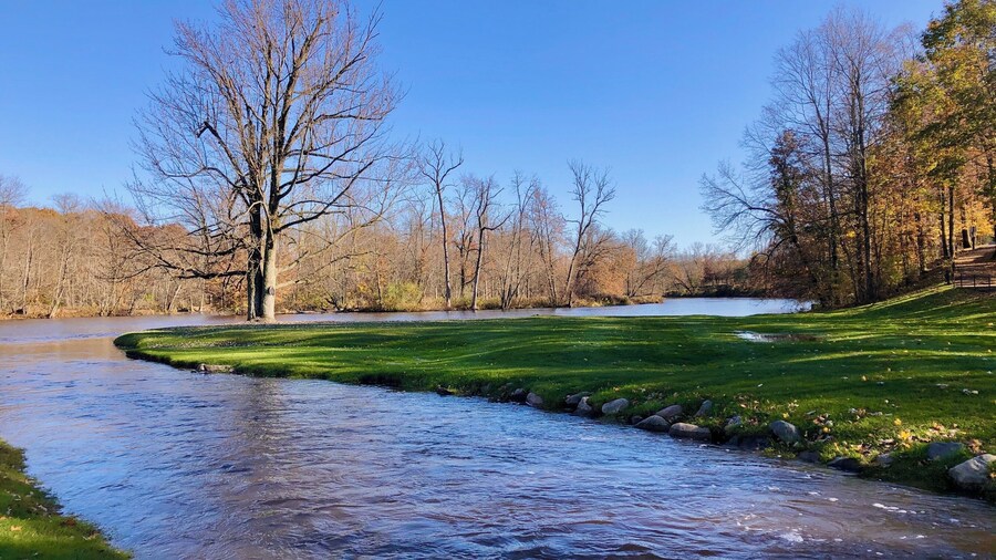 Some leaves took an early hibernation...