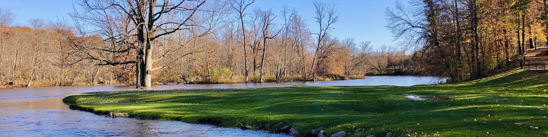 Some leaves took an early hibernation...