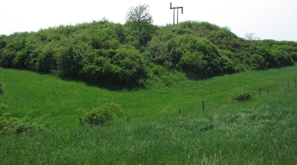 Emplacement de l'ancien château du Kochersberg. Il ne reste que les traces du fossé au premier plan. Tour chappe au sommet.