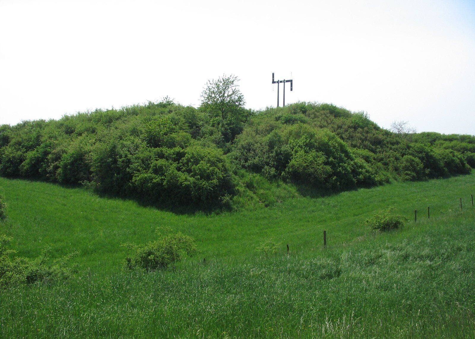 A grassy hill with dense vegetation and two tall communication towers.