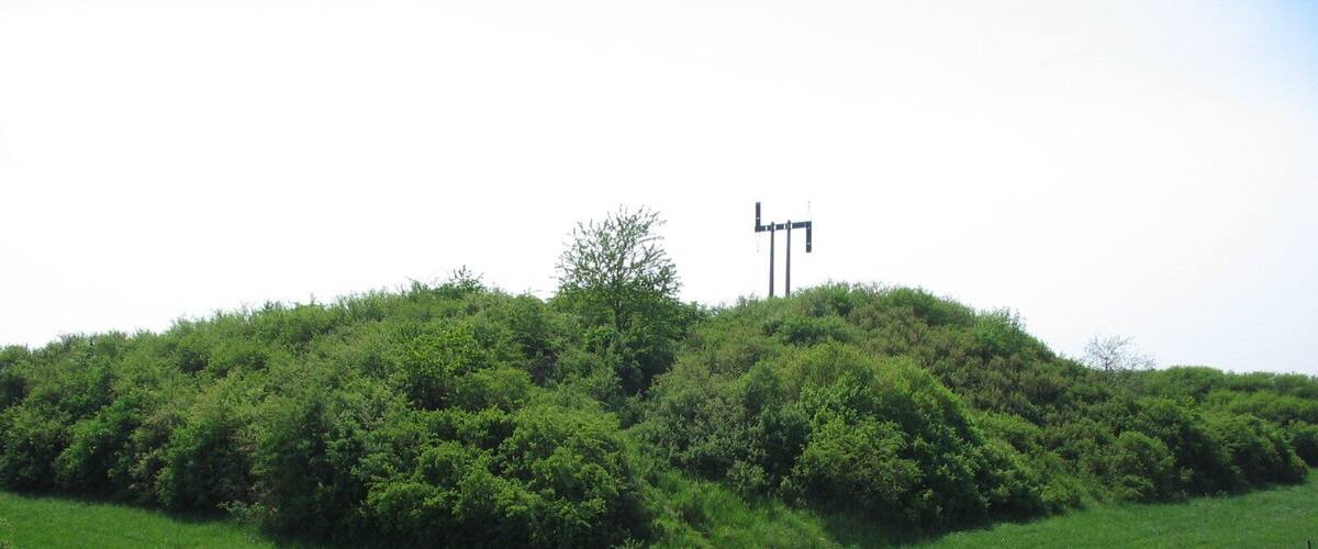 A grassy hill with dense vegetation and two tall communication towers.