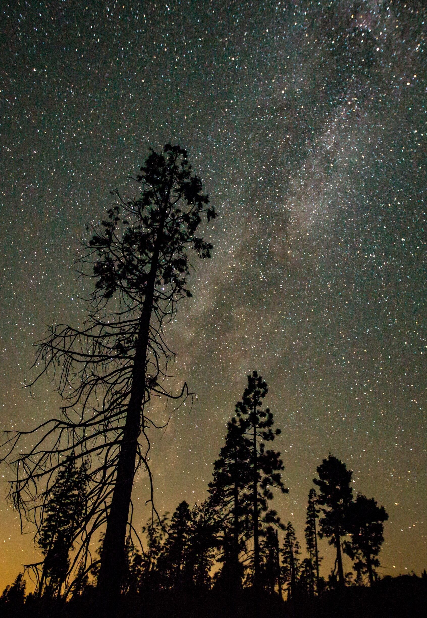 #lovemyTown #sacramento #cali 