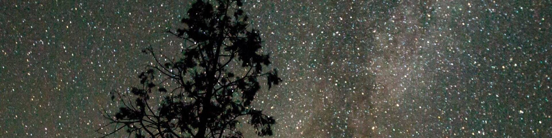 #lovemyTown #sacramento #cali