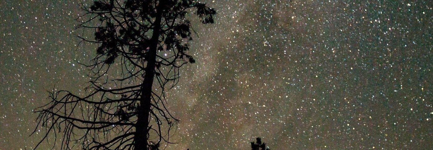 #lovemyTown #sacramento #cali