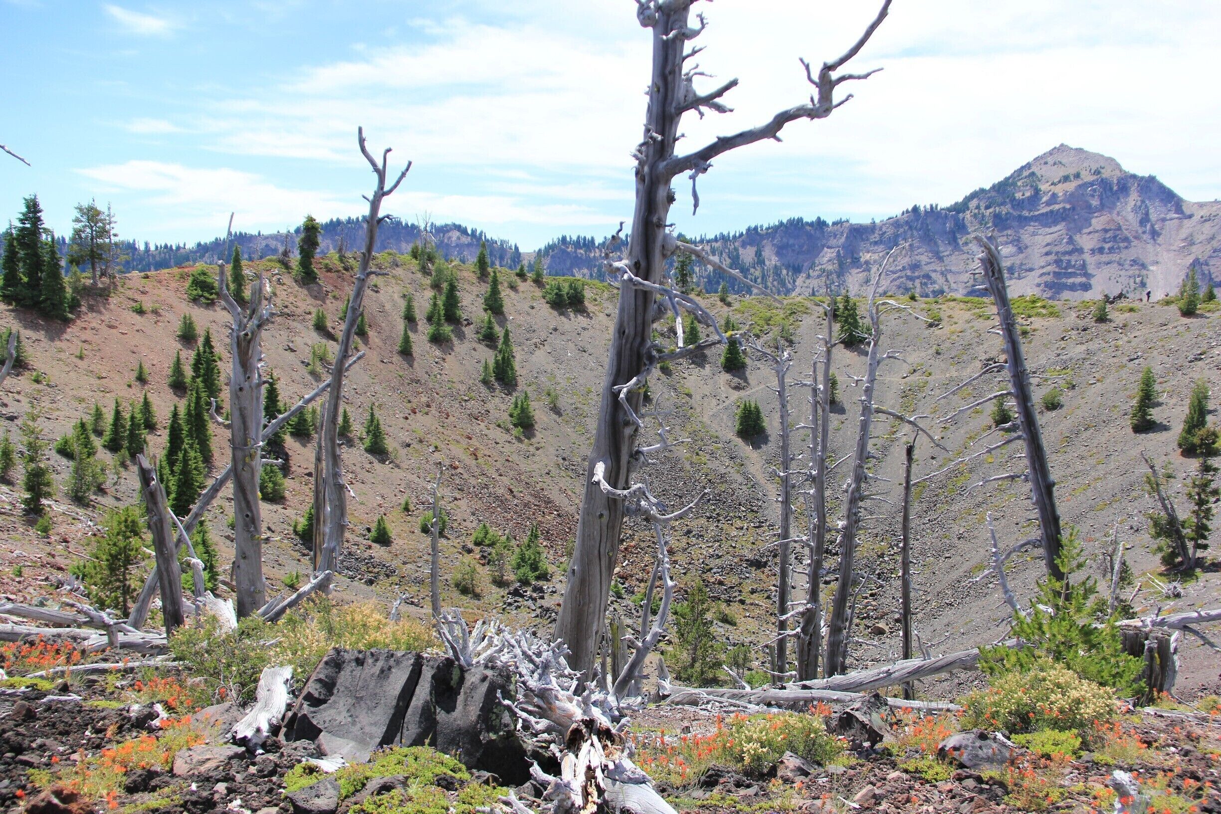 Many people don't get to discover the wizard island . This needs a boat tour reservation and it sells out pretty quickly on weekends and holidays. We got a chance to take the boat tour on July 4th and we had 3 full hours to explore this place . This is the top view of the crater after hiking almost 2 miles up from the island. The views are mind blowing . The best thing I have seen so far . You can take a round around the top of the crater and get to see 360 deg view of the entire Crater lake .