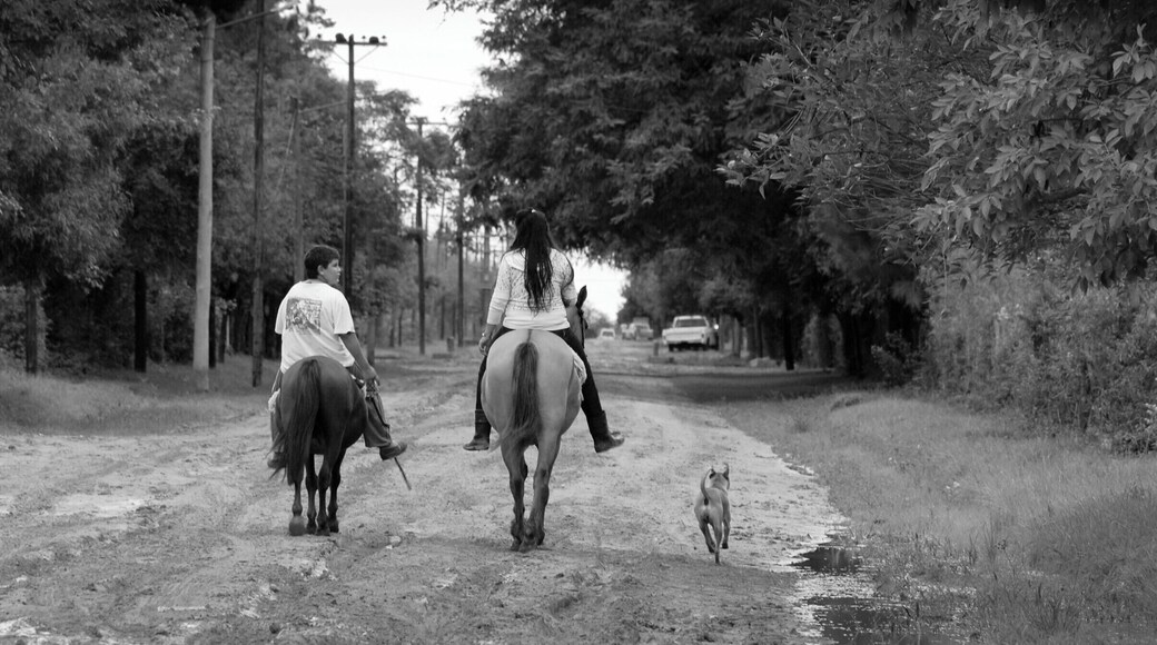 'Go riding
At sunset. For two or three hours. The dust, the wild parrots, and the gaucho hats of the guides will add a certain je-ne-sais-quoi to your experience. Argentina has a great tradition in horses and in horseback riding and exploring the wetlands on top of a beautiful animal should not be missed.'