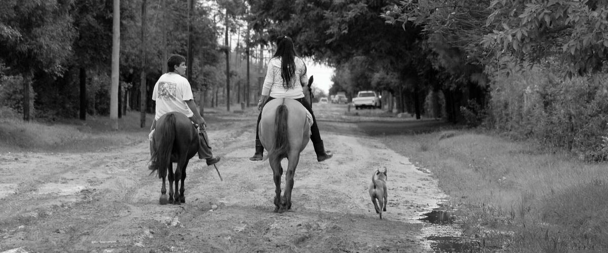 Two people riding horses on a dirt road flanked by trees.