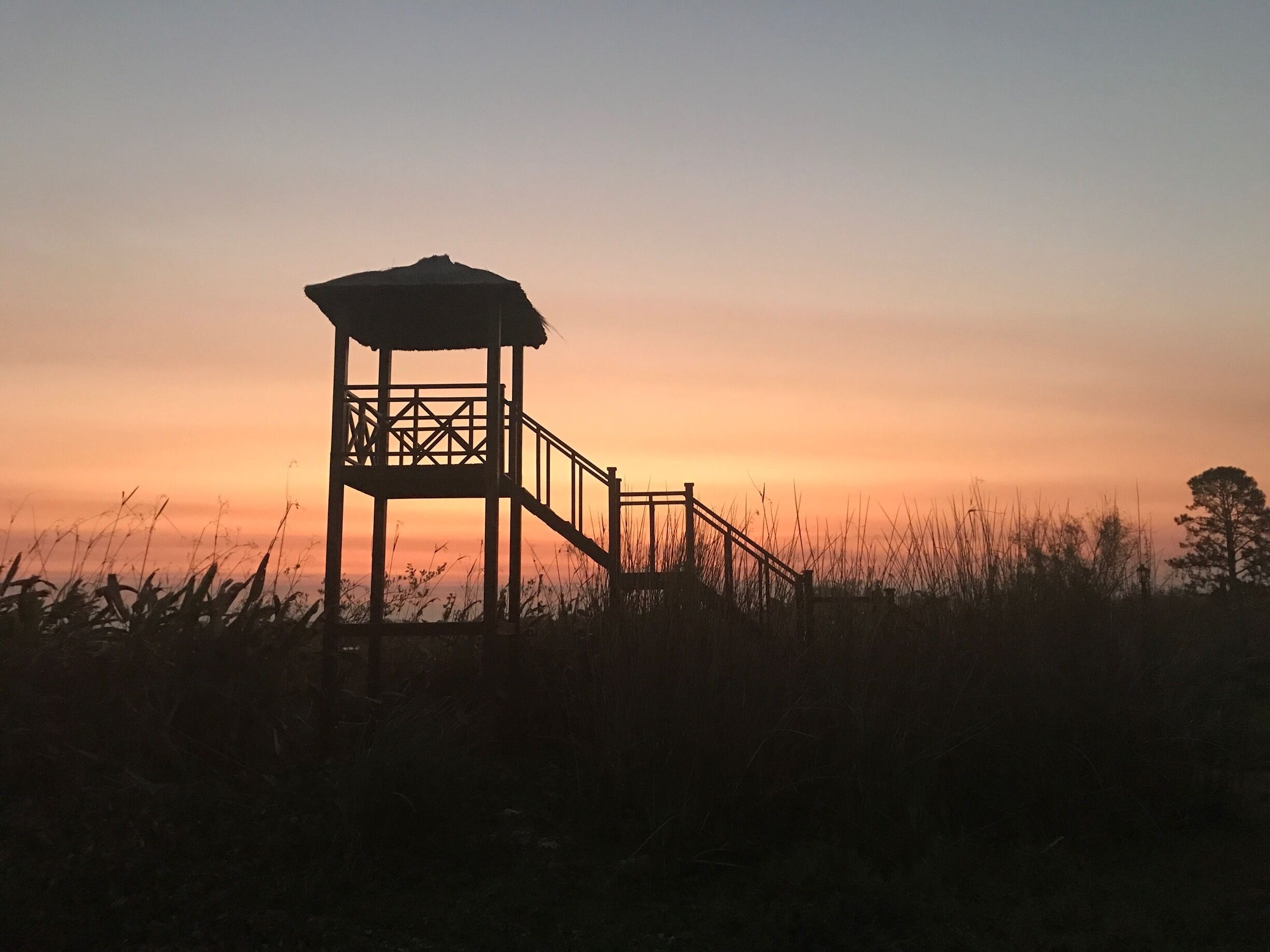 Sunset over the lagoon Esteros del Iberá. It is the second largest wetland in the world. The wetland is known for its very diverse fauna. You ll find caymans, cute capybaras and many more birds and animals.  All around the little town Colonia Carlos Pelegrini there are view points to enjoy sunsets.