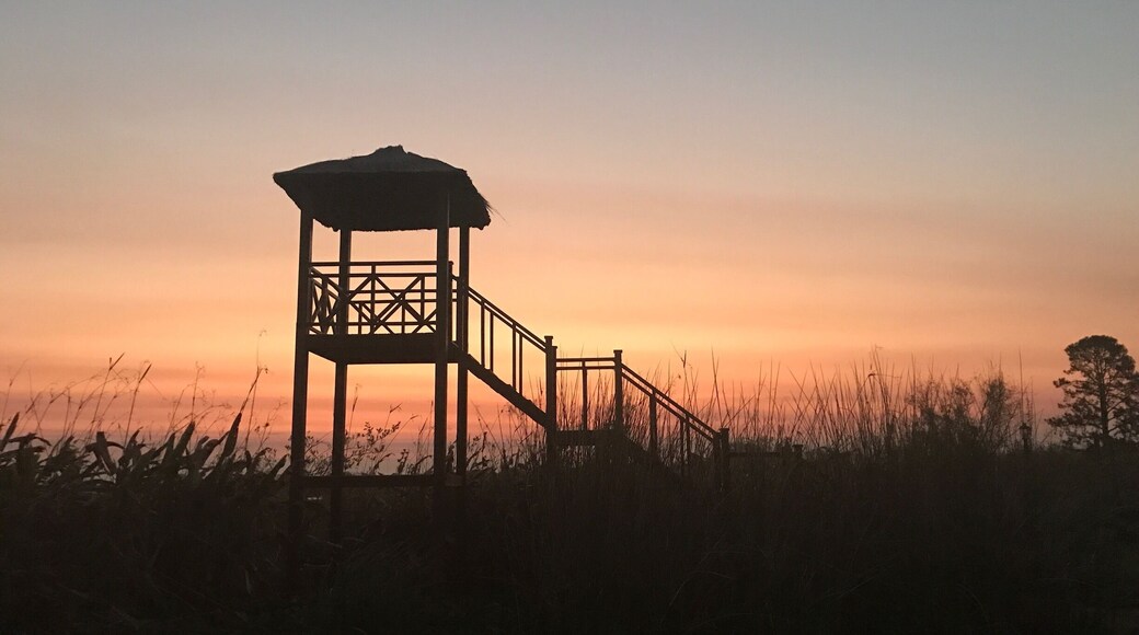 Sunset over the lagoon Esteros del Iberá. It is the second largest wetland in the world. The wetland is known for its very diverse fauna. You ll find caymans, cute capybaras and many more birds and animals. All around the little town Colonia Carlos Pelegrini there are view points to enjoy sunsets.