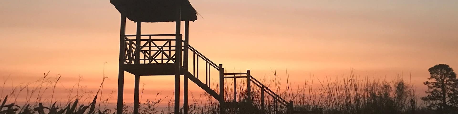 Sunset over the lagoon Esteros del Iberá. It is the second largest wetland in the world. The wetland is known for its very diverse fauna. You ll find caymans, cute capybaras and many more birds and animals. All around the little town Colonia Carlos Pelegrini there are view points to enjoy sunsets.