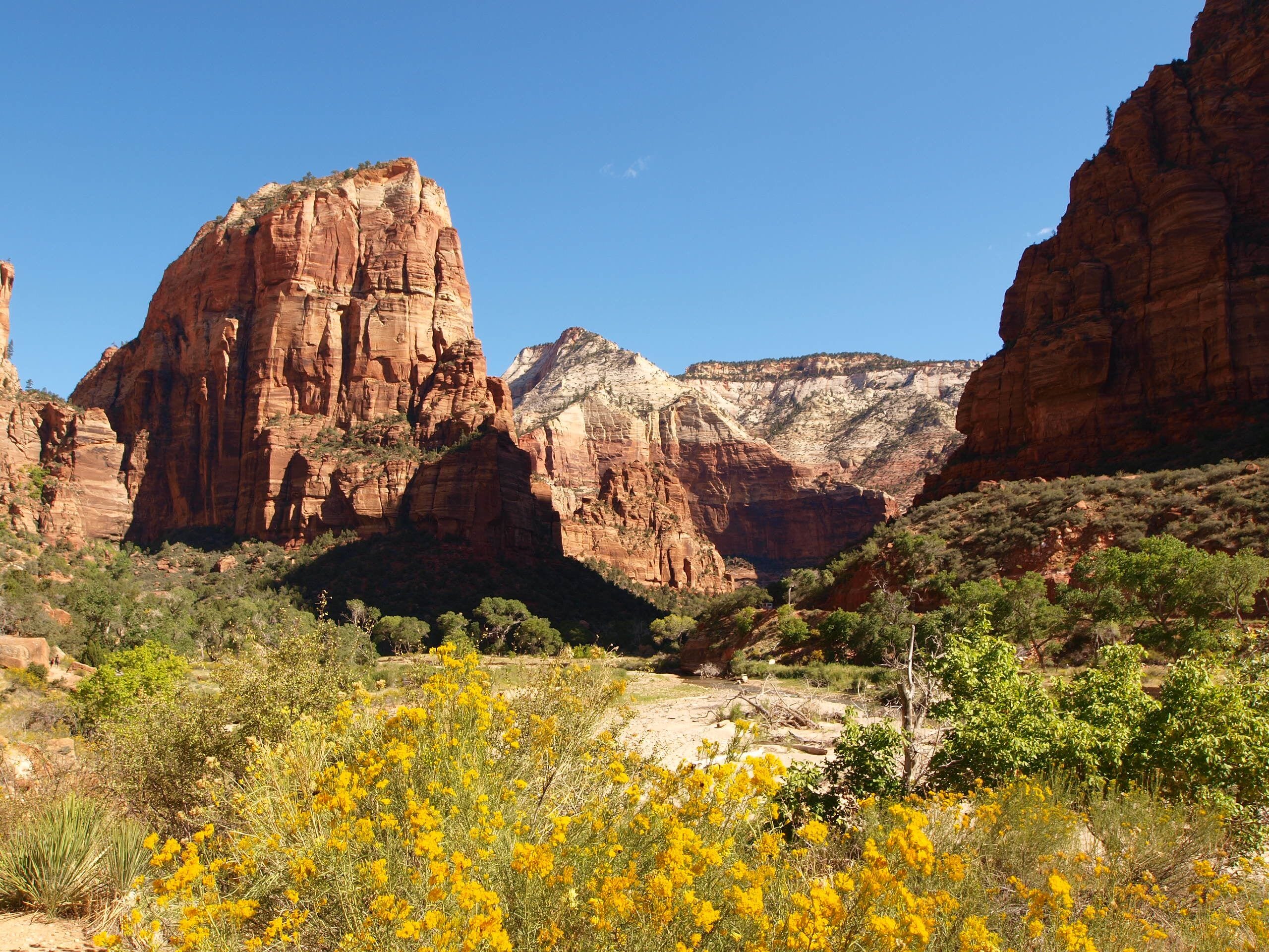 Zion National Park