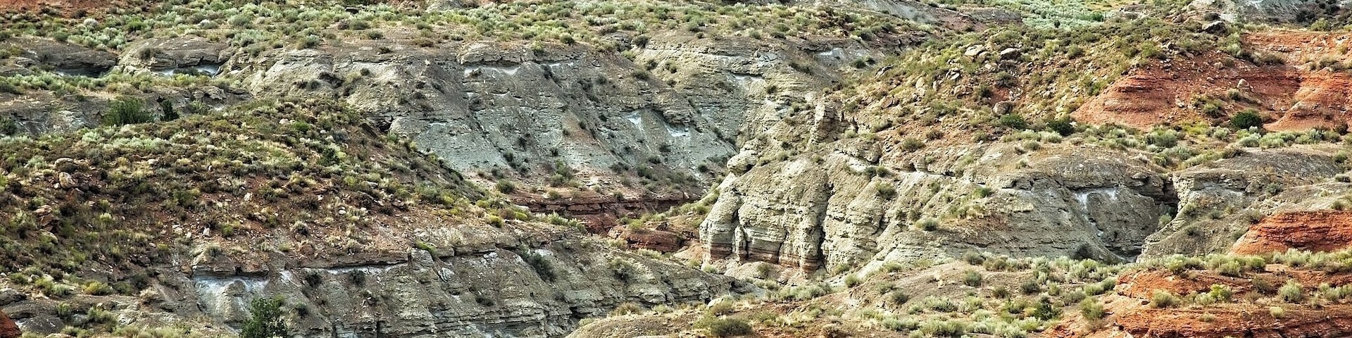 This crazy technicolor canyon was an unexpected find not too far from the entrance to Zion National Park
#utah #canyon #nature #hiking #landscape #outdoors