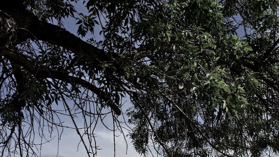 Eerie house in ghost town Grafton.