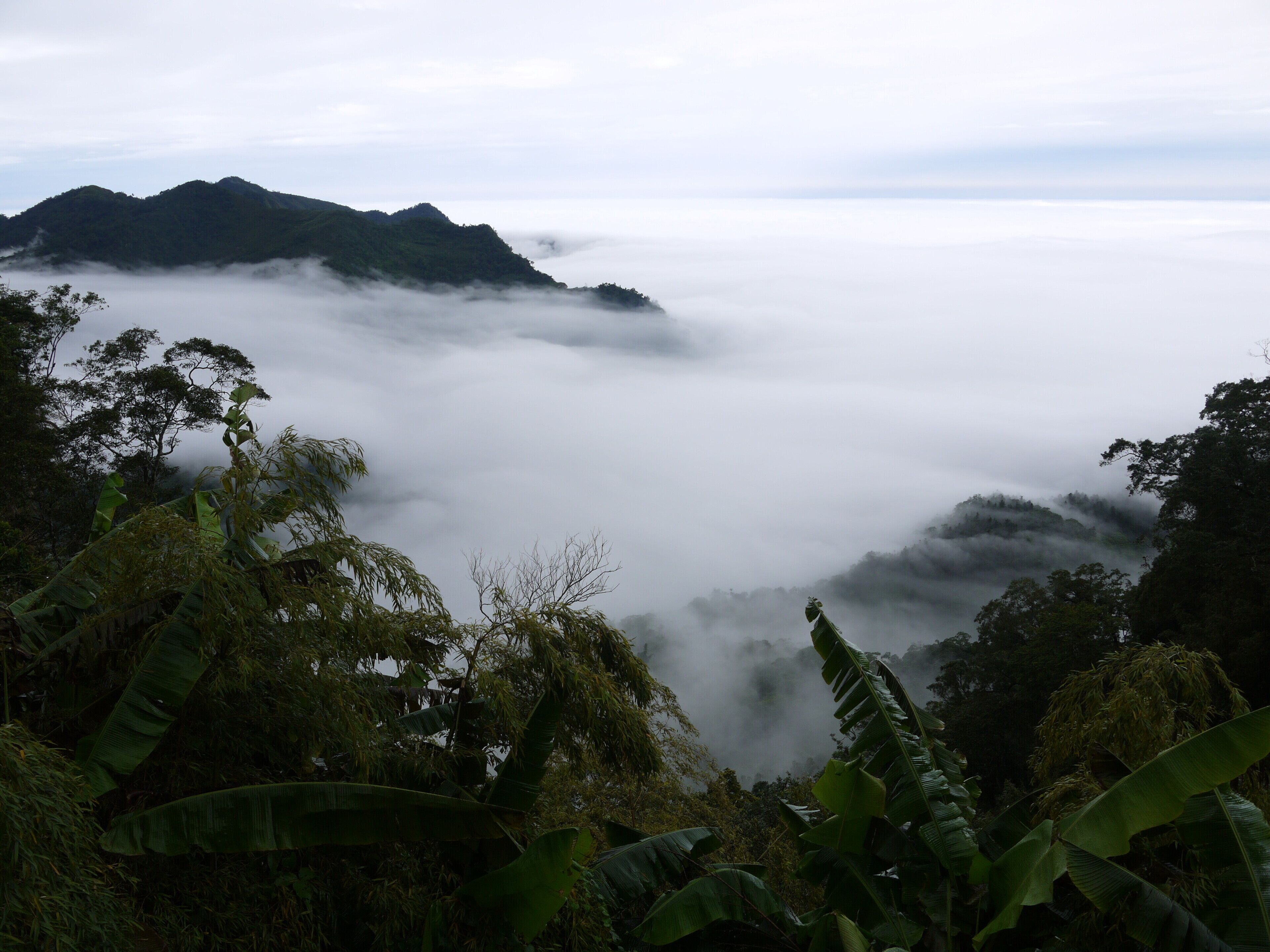 嘉義縣番路鄉 隙頂 雲海