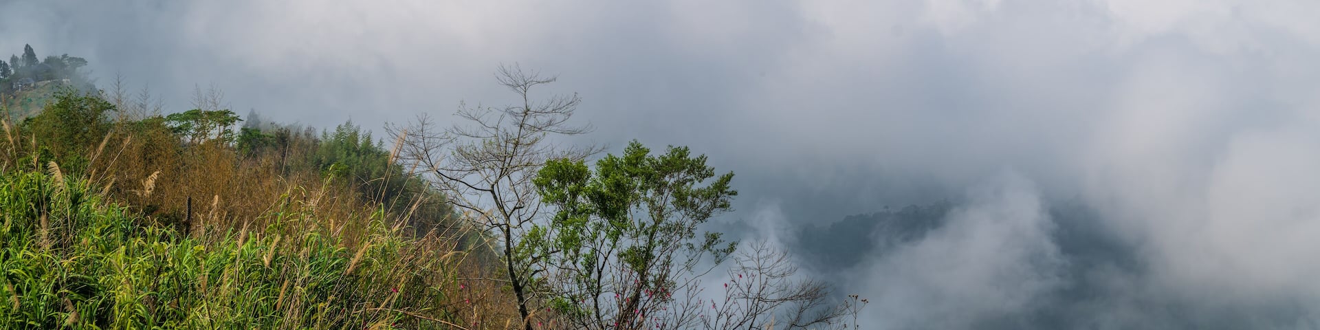 A serene view of the mist-covered mountains in Fanlu Township, Chiayi County, Taiwan, captured on a spring afternoon. The dense fog creates a mystical atmosphere, enveloping the lush green hills.