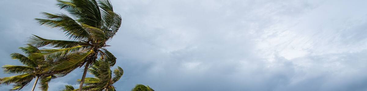 beach of Capesterre de Marie-Galante