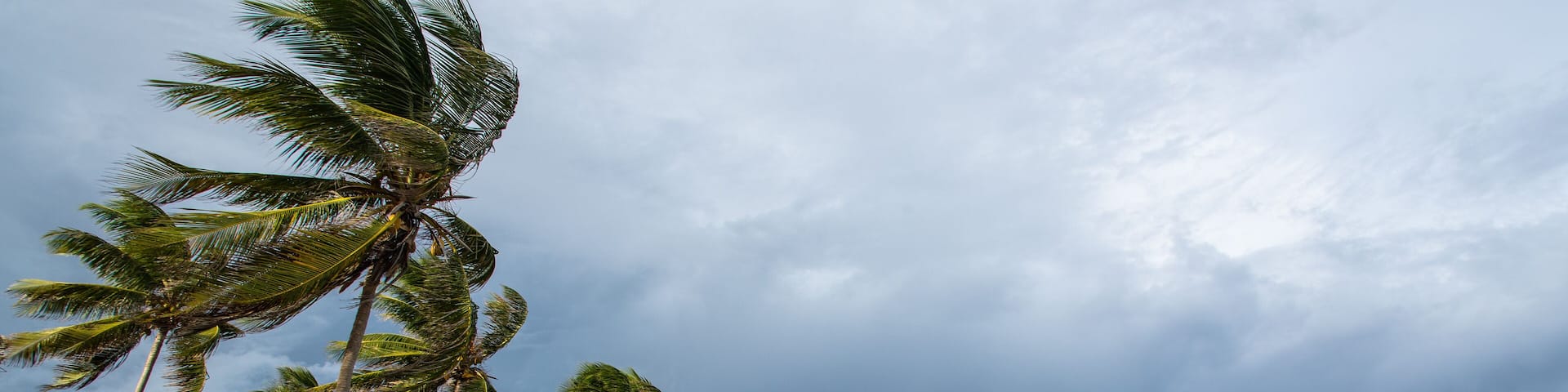 beach of Capesterre de Marie-Galante