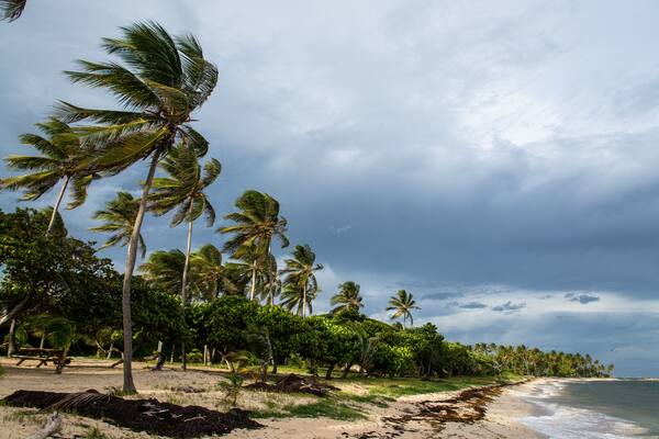 beach of Capesterre de Marie-Galante