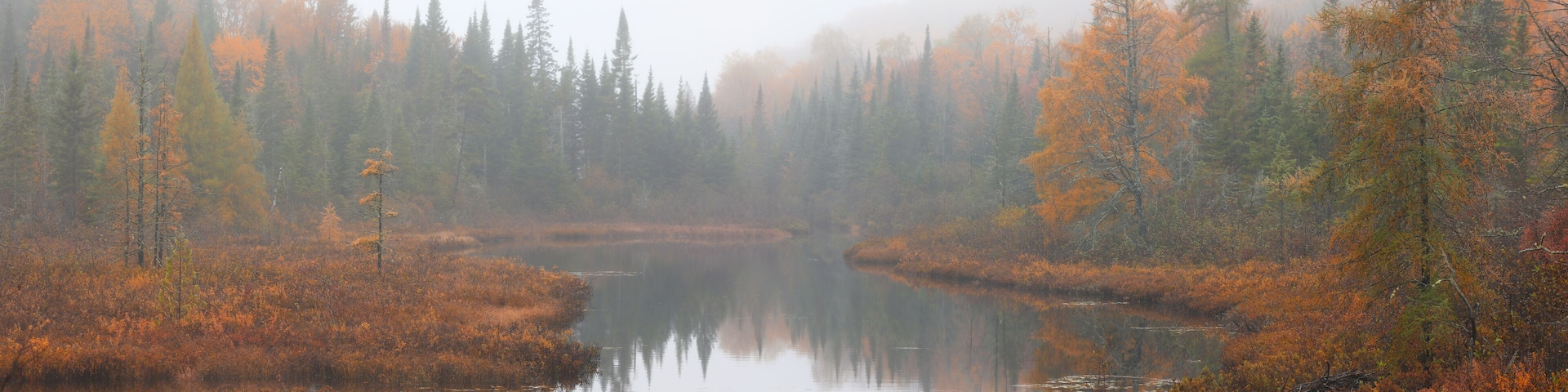 Panoramic view of colorful trees with misty landscape during autumn time