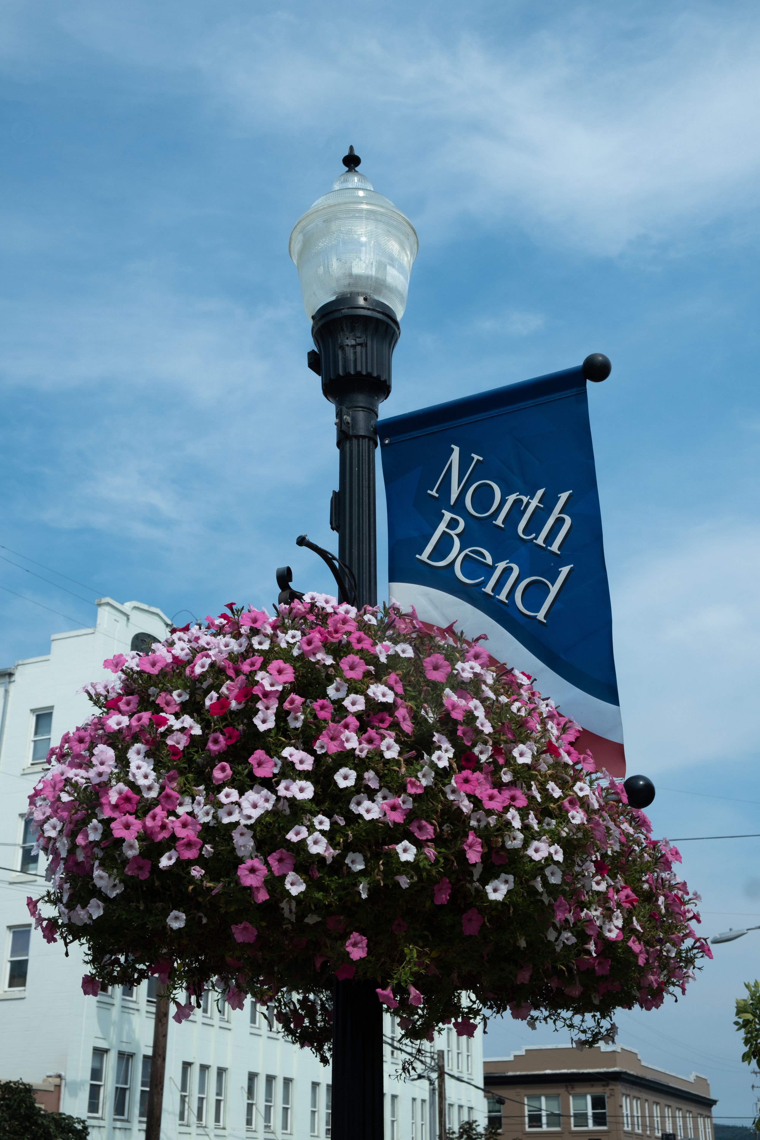 A street lamp with a blue banner reading 'North Bend' and a flower basket with pink and white flowers.