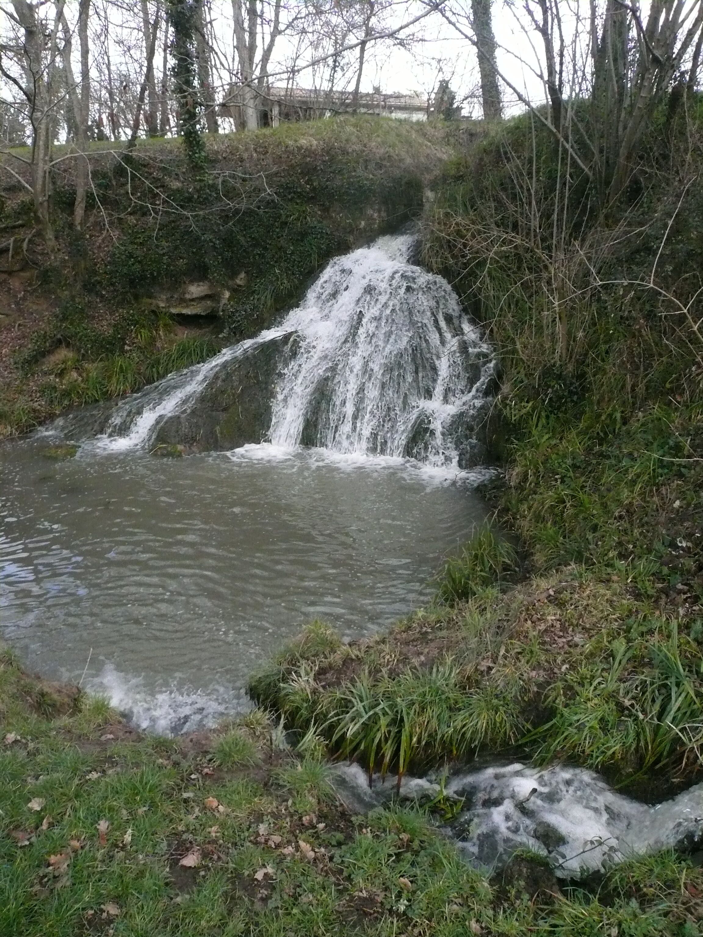 A small waterfall cascading into a pond surrounded by trees and grass.
