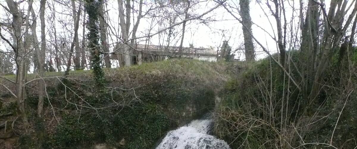 A small waterfall cascading into a pond surrounded by trees and grass.