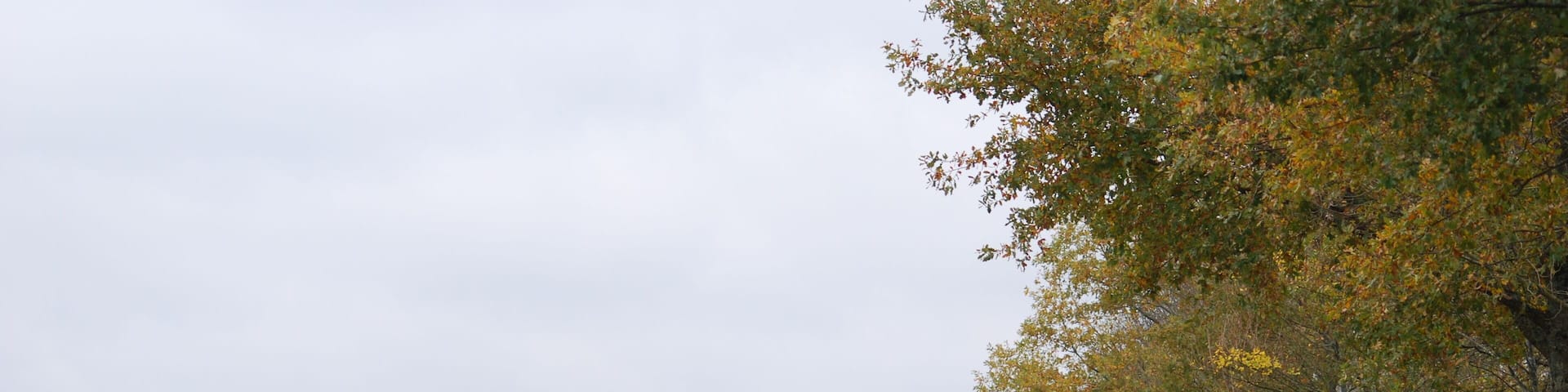 This building is indexed in the Base Mérimée, a database of architectural heritage maintained by the French Ministry of Culture, under the reference PA33000108 .