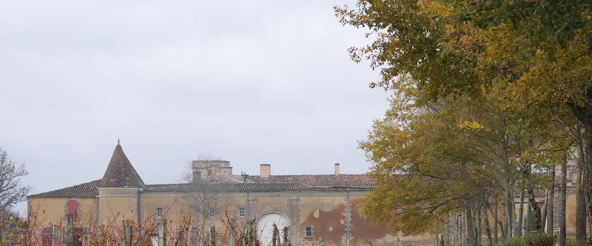A vineyard with rows of grapevines and a building with a conical roof in the background.