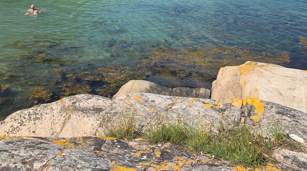 #nature #lifeAtExpedia
Trinsla is a pretty little island outside Fjรคllbacka on the Swedish westcoast. Last year there were a lot of dolphines spotted here. You can only reach the island by boat.