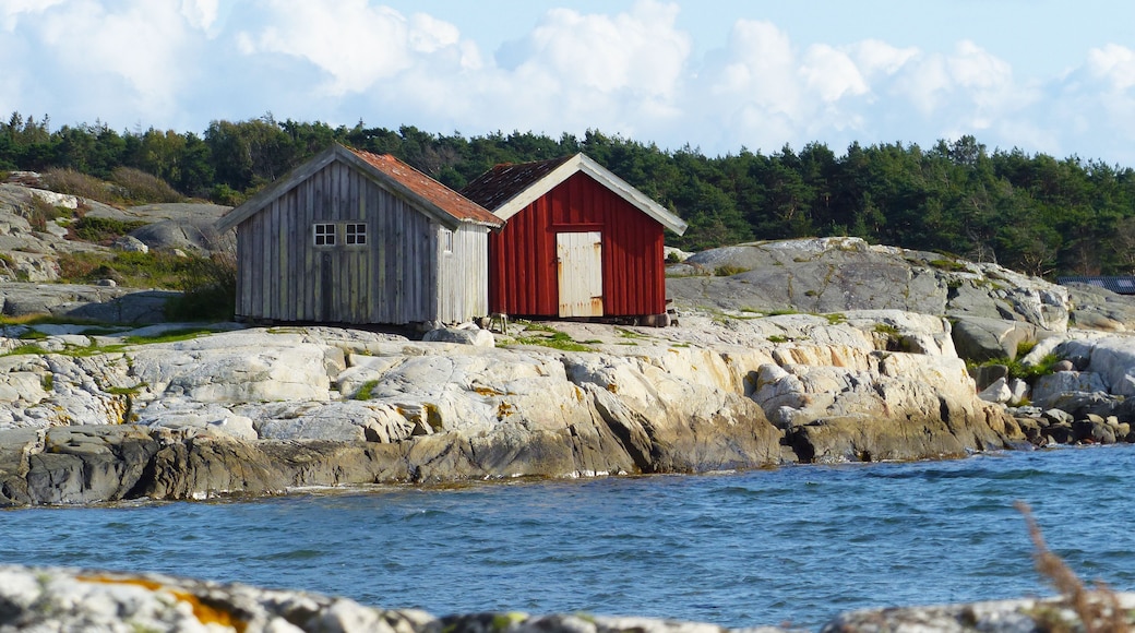 Parque Nacional de Kosterhavets