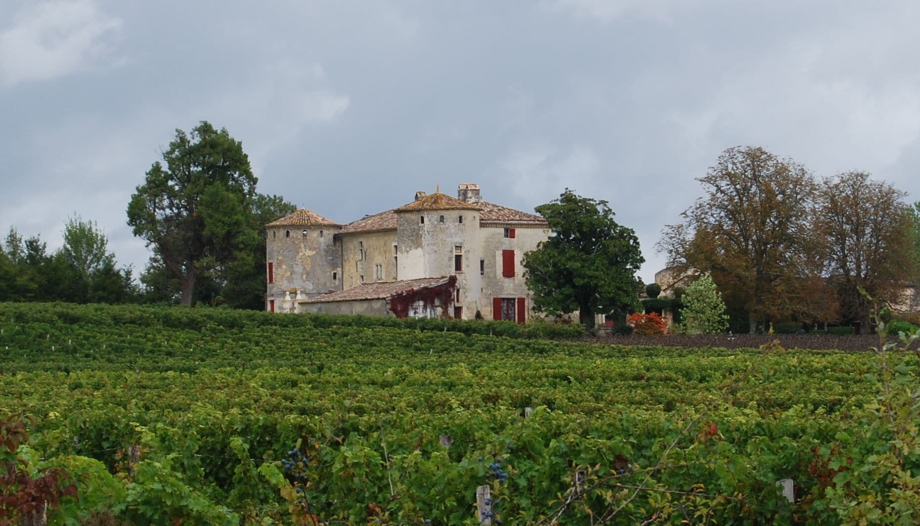 A vineyard with rows of grapevines and a historic building with red shutters in the background.