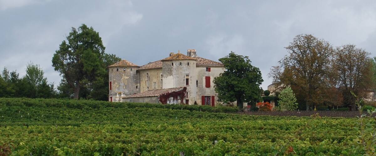 A vineyard with rows of grapevines and a historic building with red shutters in the background.