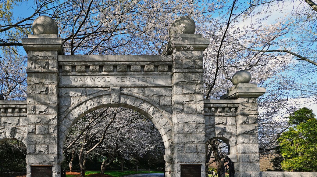 أوكوود التاريخية