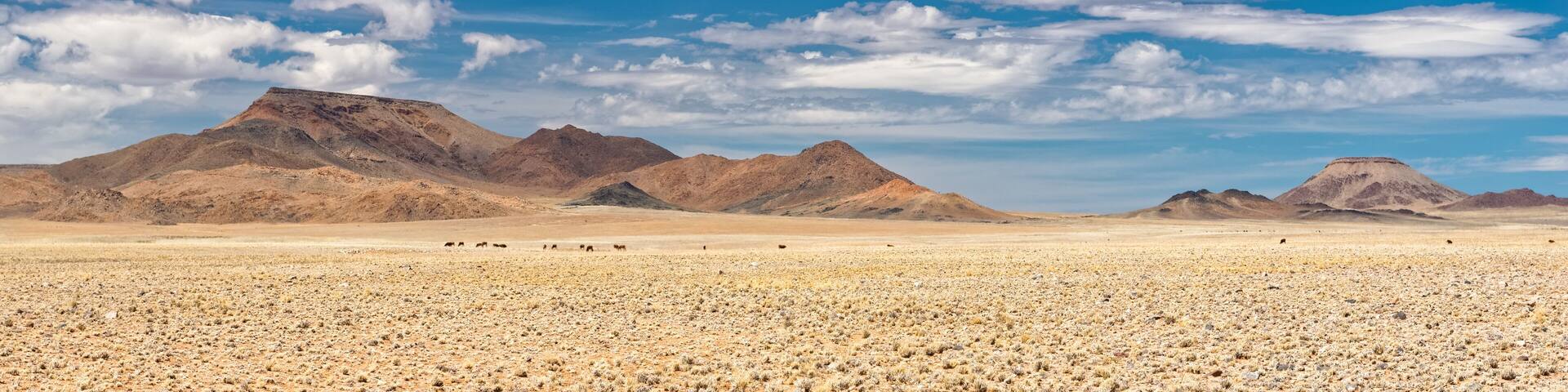 A desert landscape with sparse vegetation and distant mountains under a clear sky.