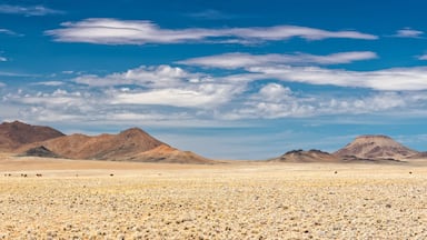 Paisaje desértico con poca vegetación y montañas lejanas bajo un cielo despejado.