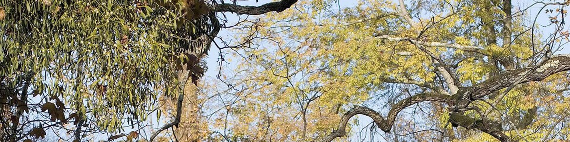 Parc Bordelais in Bordeaux, France.