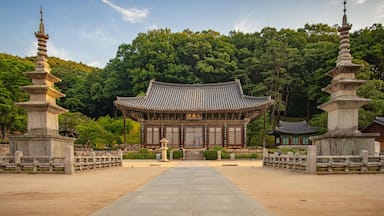 Main temple building at Jijiksa Monastery, taken during a summer afternoon, Gimcheon, South Korea
