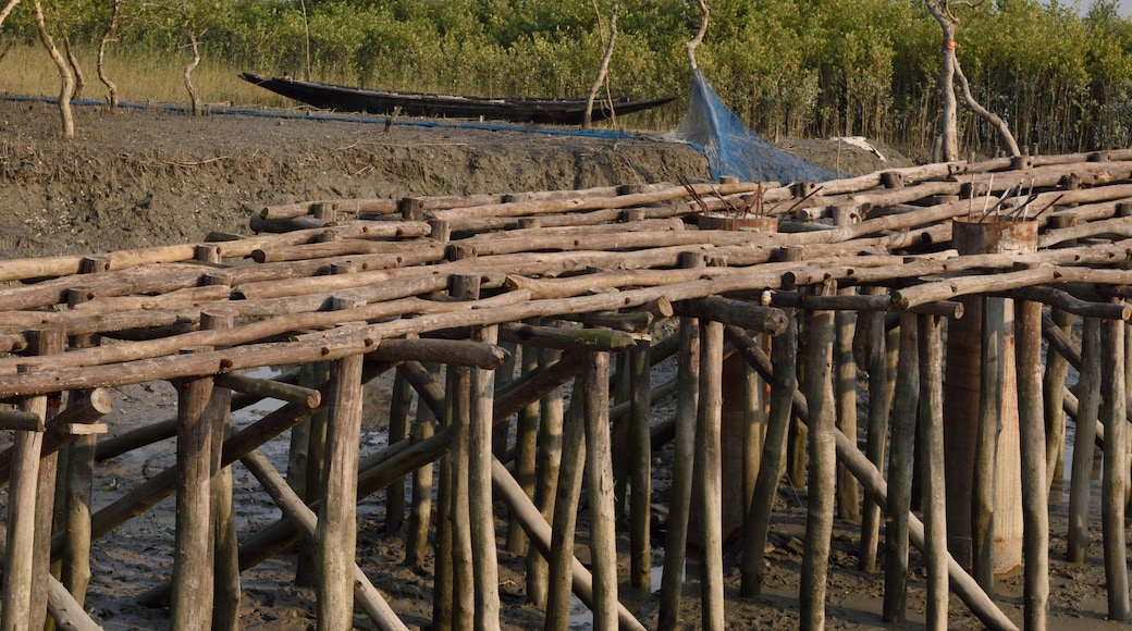 Eine Holzkonstruktion ragt in ein trübes Gewässer, umgeben von Bäumen, mit einem entfernten Blick auf ein Boot auf dem Wasser.