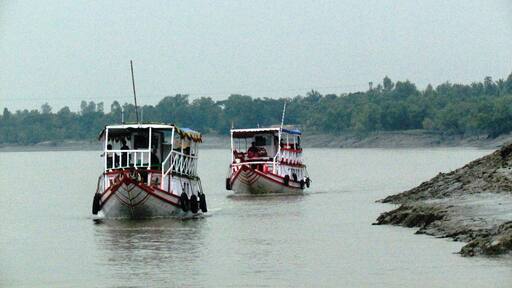 These are the Tourist Boats which help the Tourists to roam around enjoy the Nature in Sunderban,India